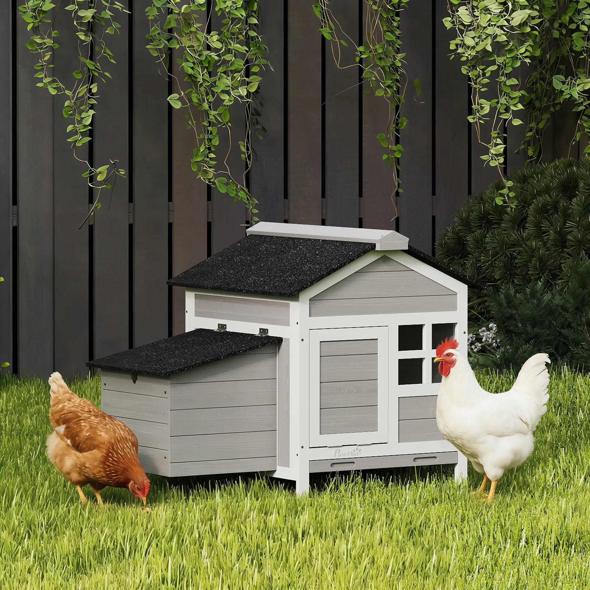 Wooden Chicken Coop Outdoor