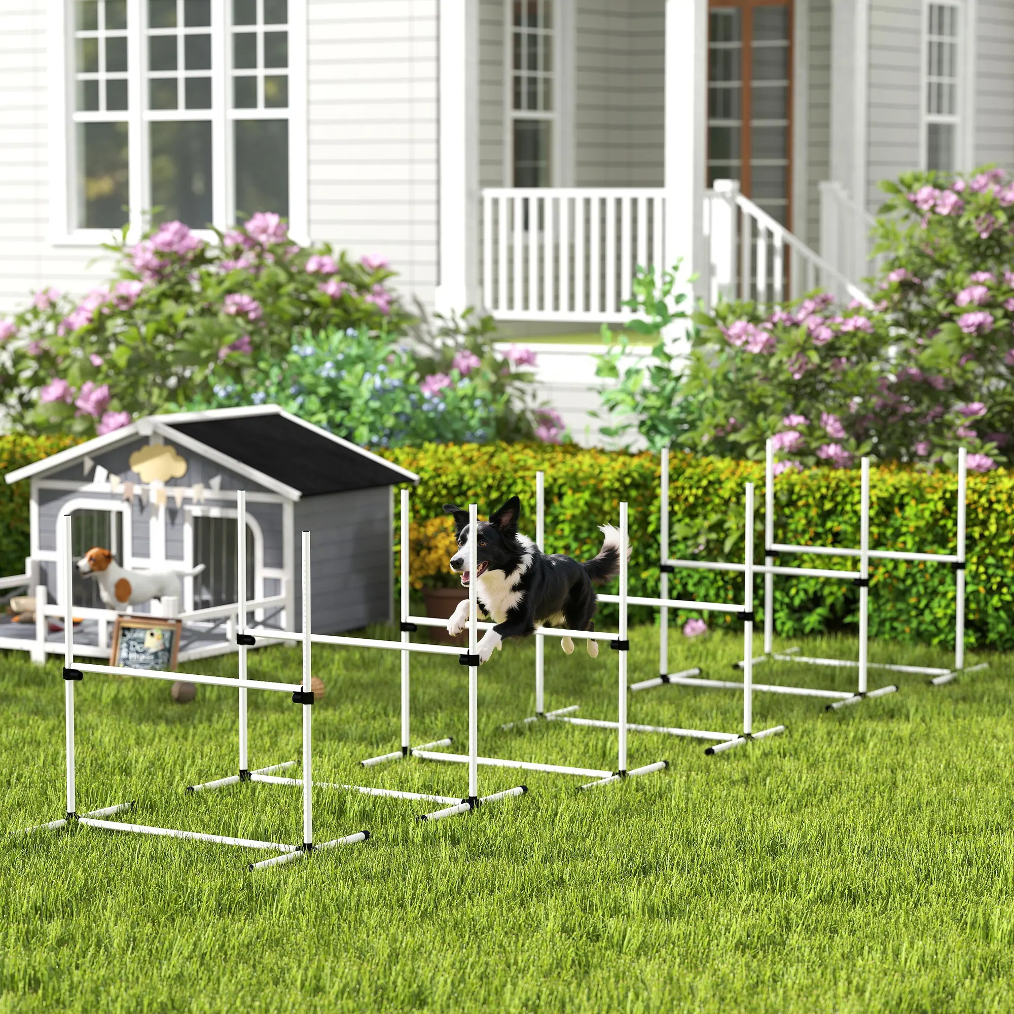 Dog Agility Set with Adjustable Height Jump