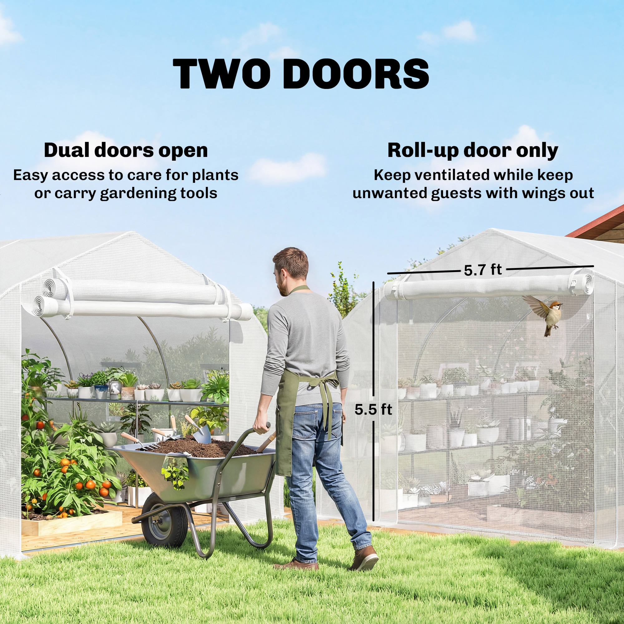 10x11x6 Walk-in Tunnel Greenhouse with Shelves, Mesh Door and Windows, Plant Hot House with PE Cover… image 6