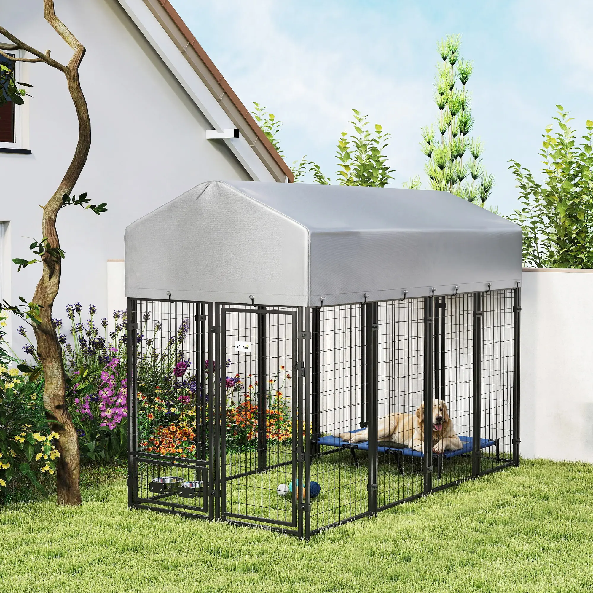 8 x 4 6 Outdoor Dog Kennel