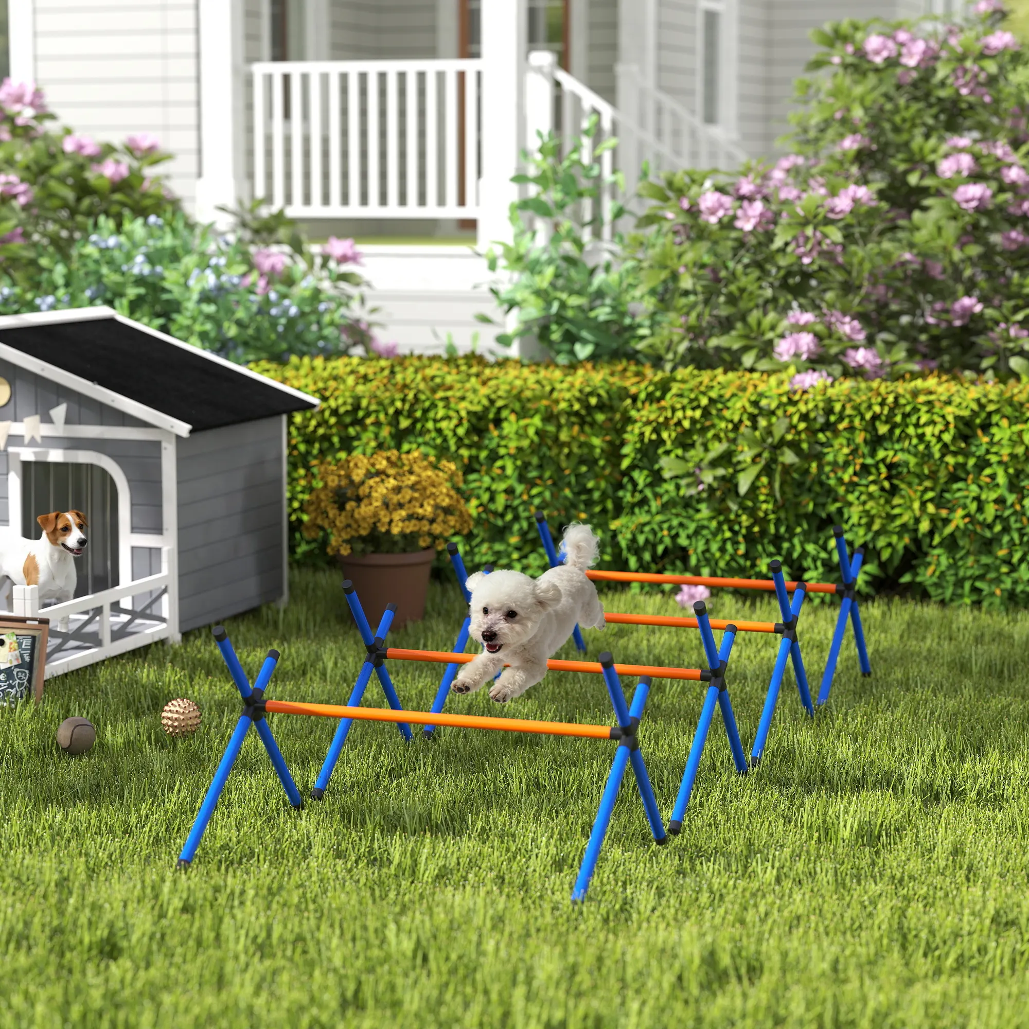 Dog Agility Equipment, Course Backyard Set
