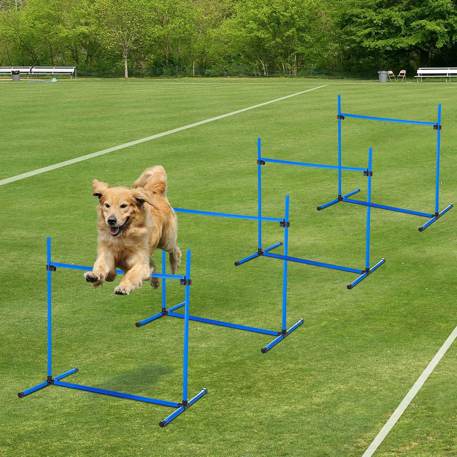 Dog Agility Starter Kit
