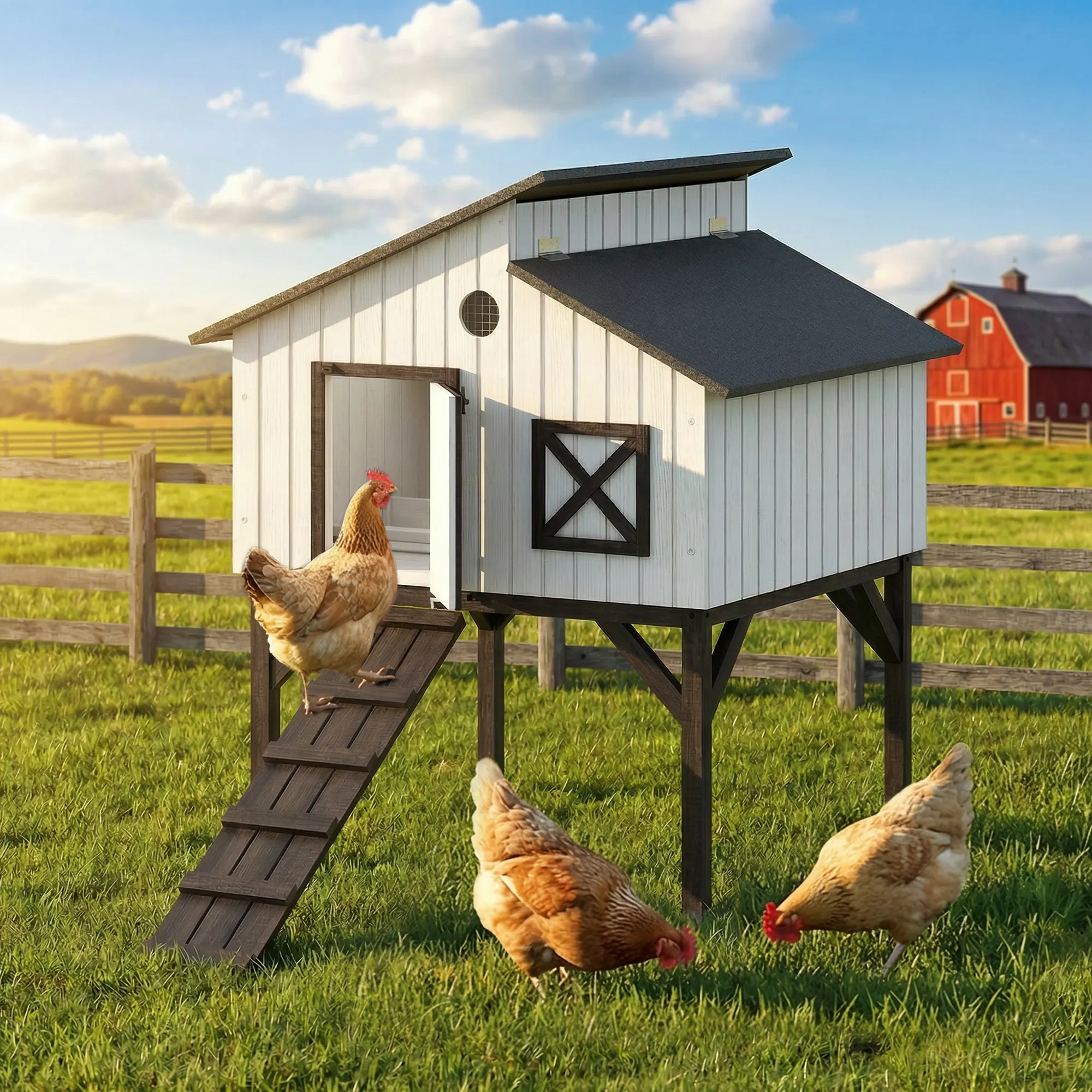 Chicken Coop Hen House