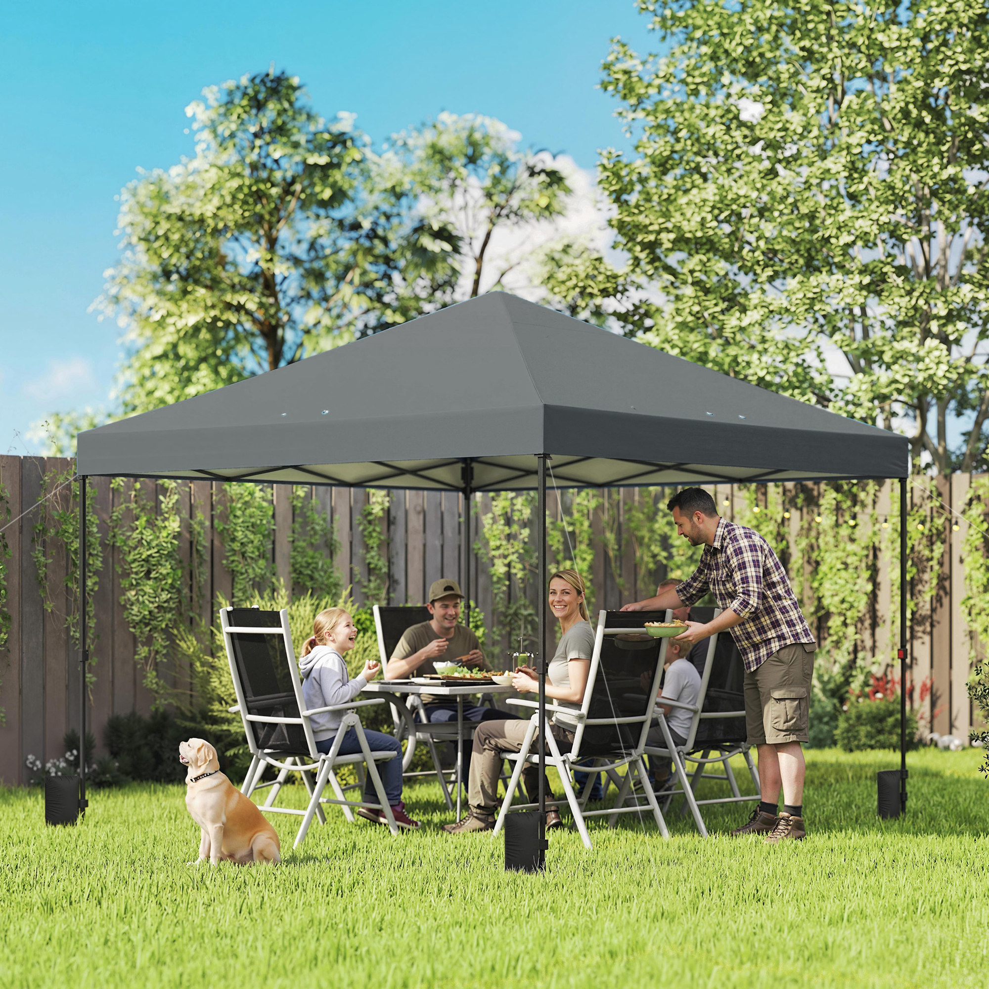  10 x 10 ft Pop Up Canopy Tent with One Push Setup, Outdoor Portable Instant Canopy Shelter w/ Roller Bag, Dark Gray
