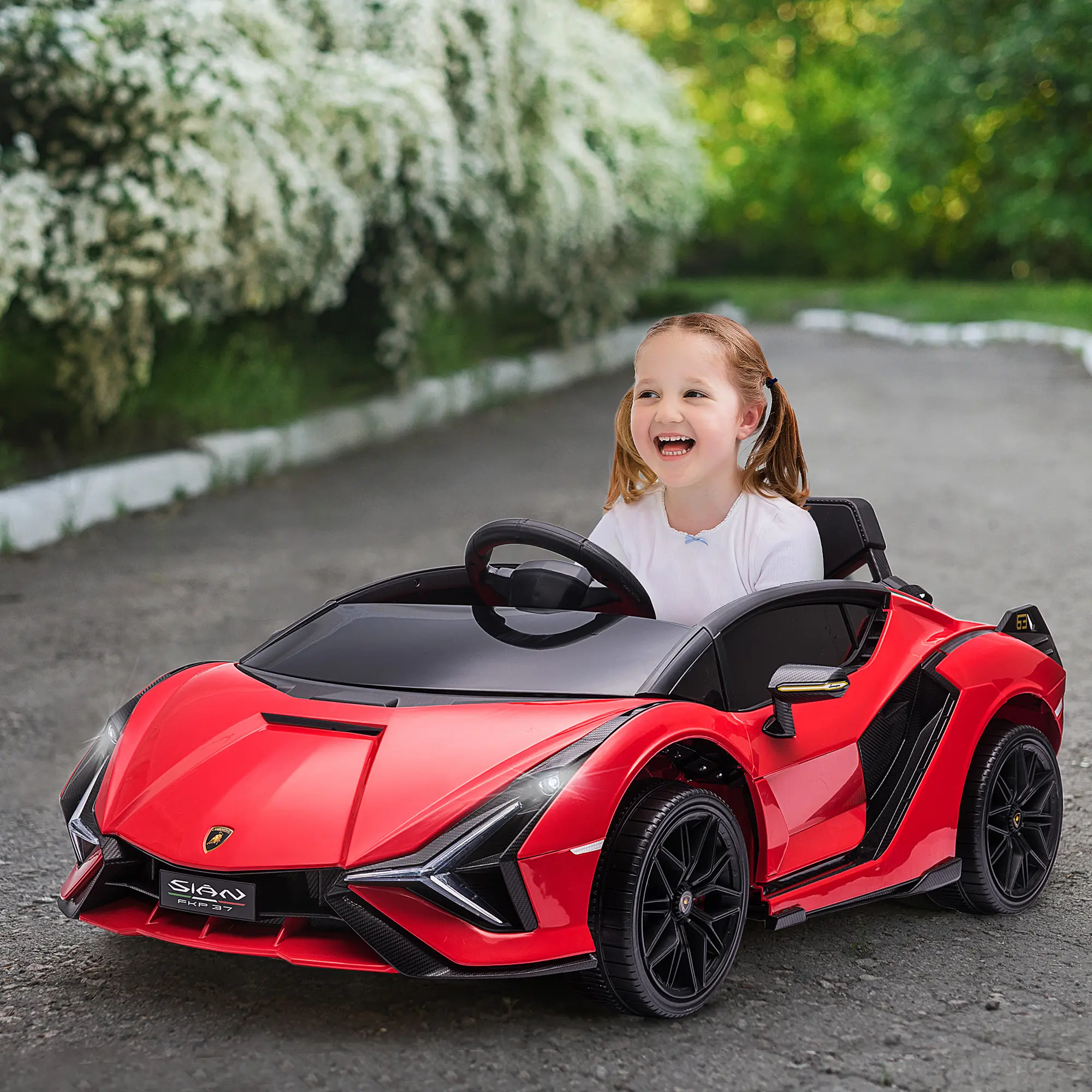12V Lamborghini SIAN Licensed Electric Car