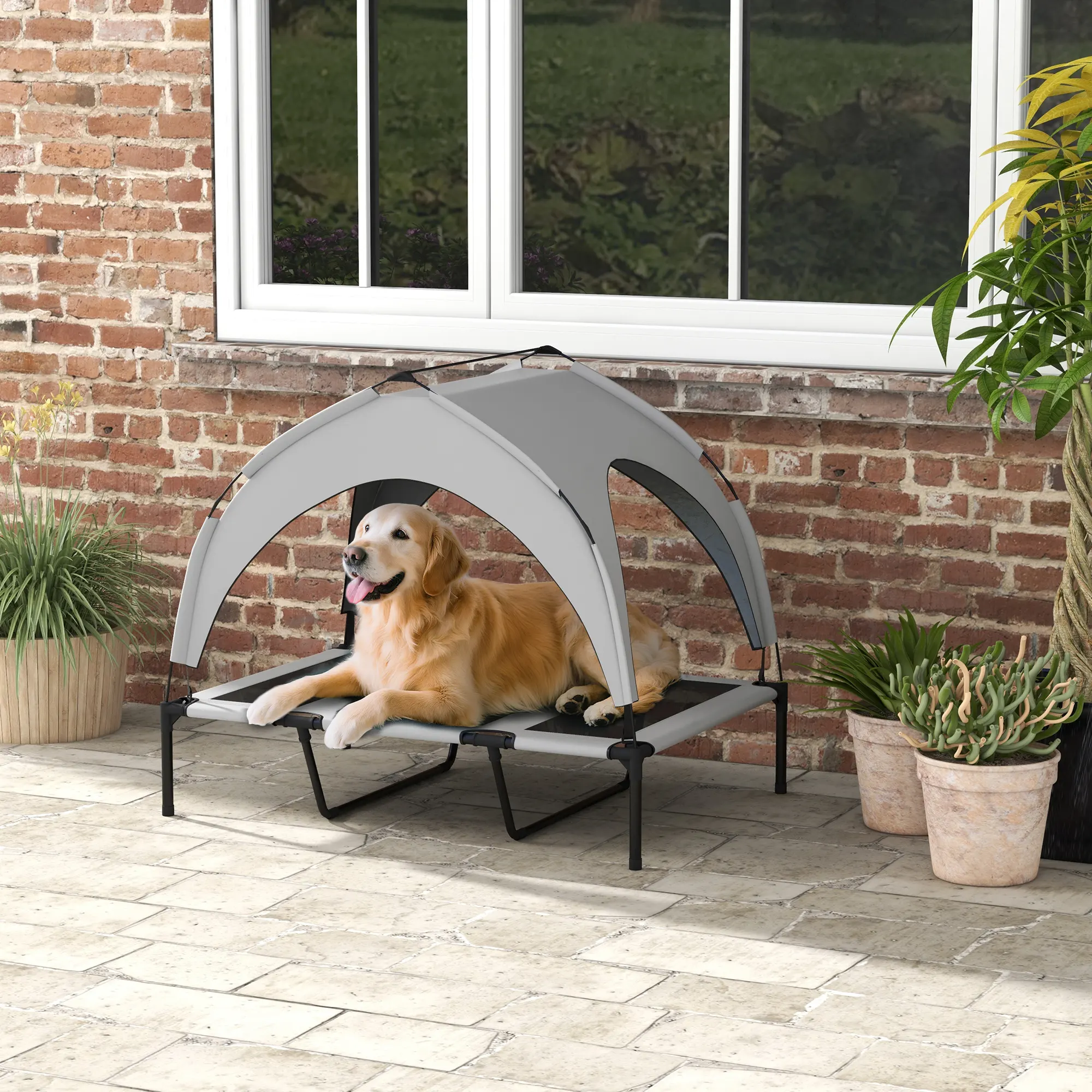 Elevated Dog Bed with Canopy, Raised Outdoor