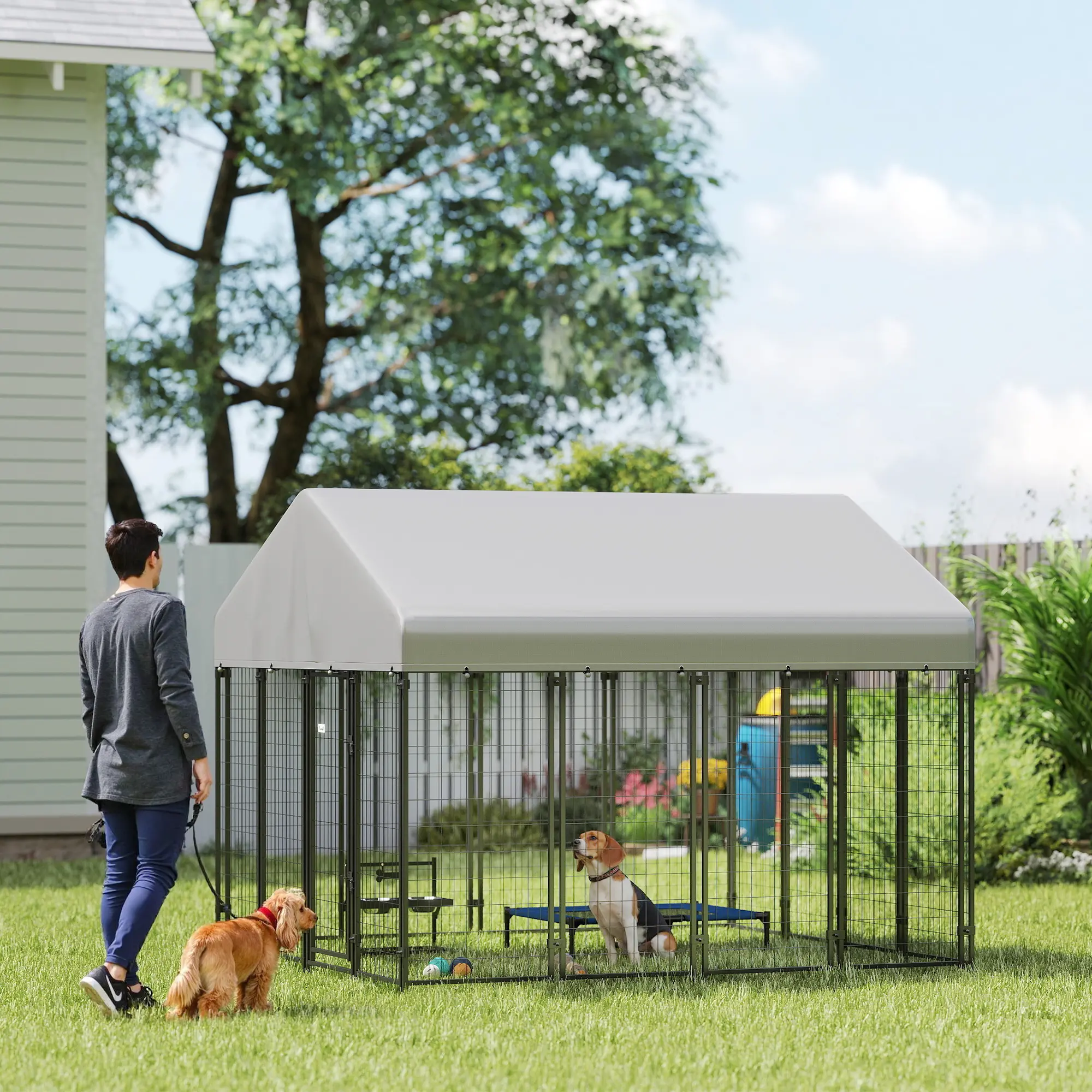 Outdoor Dog Kennel with Roof, 8 x