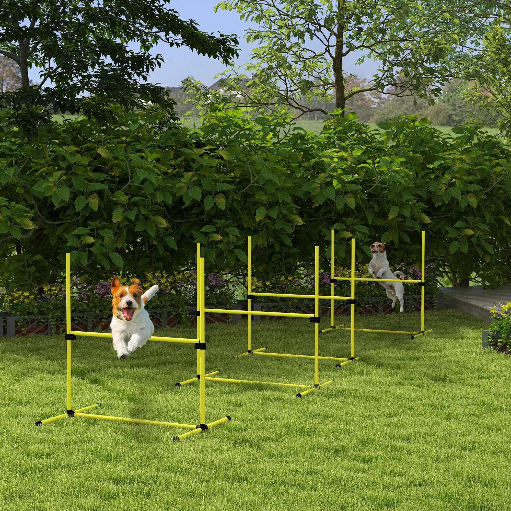 Dog Agility Set with Adjustable Height Jump