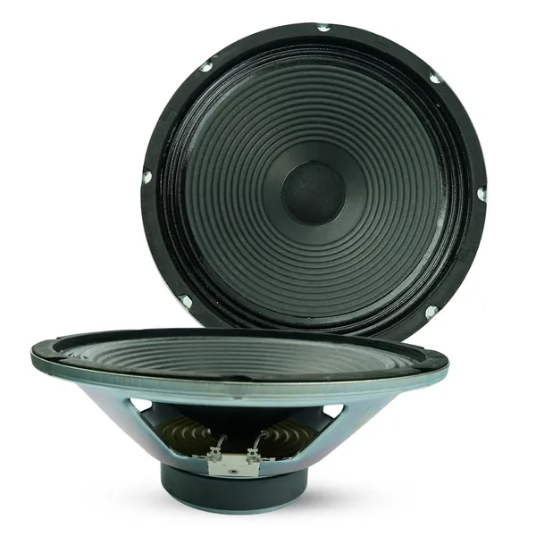 5 Core 10" Guitar Speaker 60W 8Ohm/16Ohm 25Oz Magnet 1.25" VC Amplifier Cabinet Driver