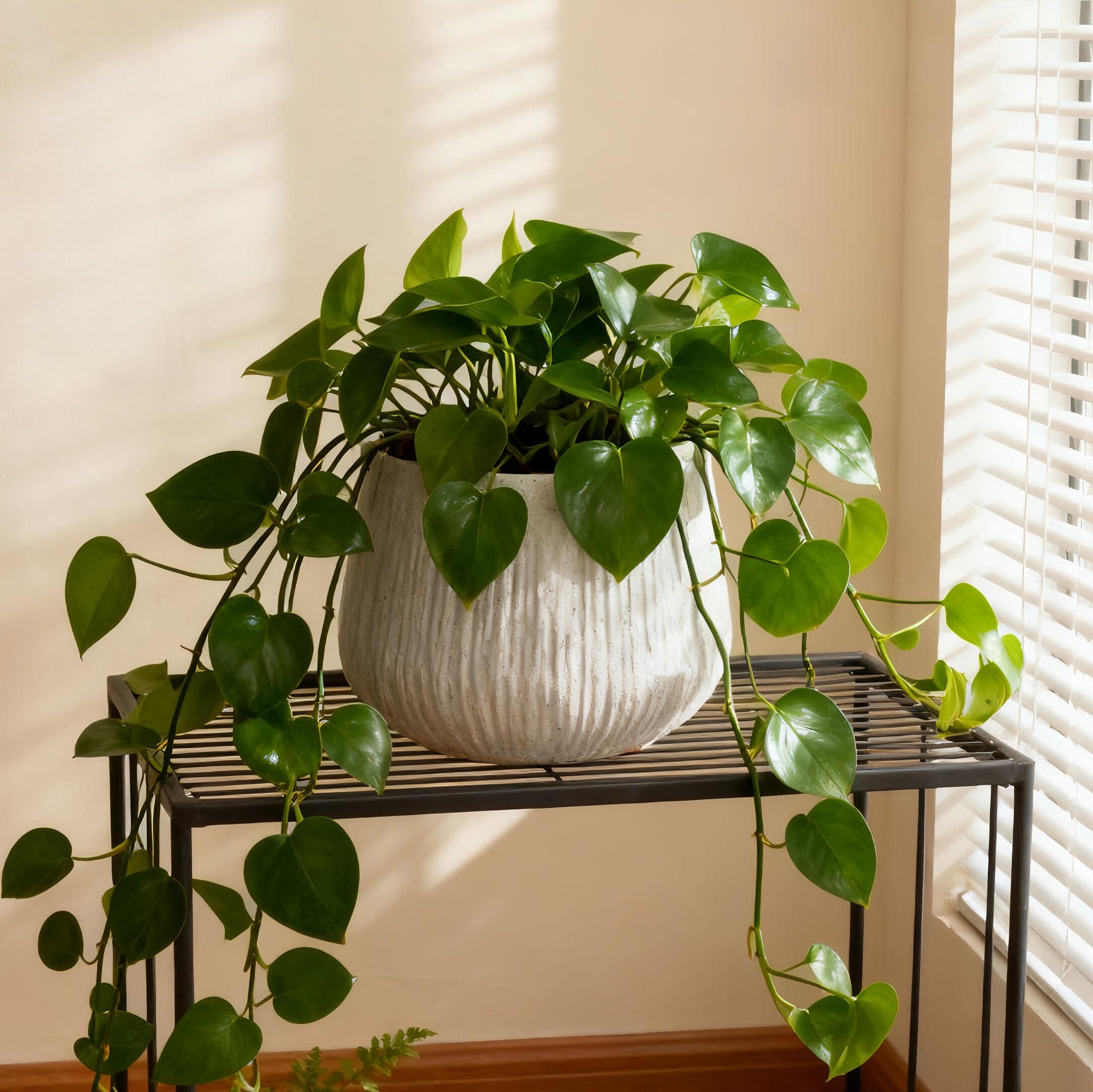 11Dia X 9.06 H Large Round Planters For Indoor Plants, Outdoor Planters With Drainage Holes, Magnesium Oxide Plant Pot With Cement Texture Plant Pots Indoor & Outdoor For Home Garden Patio