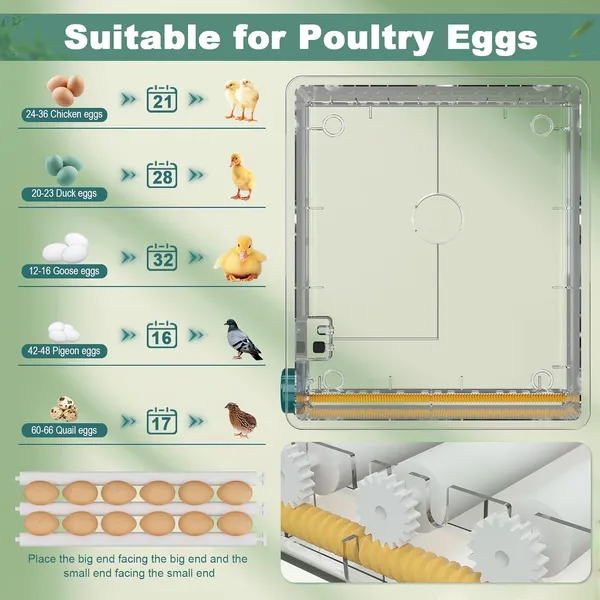 36 Eggs Incubators For Hatching Eggs,Egg Incubator With 4 Automatic Incubate Mode,Chicken Incubator With Automatic Egg Turning Humidity Monitoring,Poultry Egg Incubator With Egg Candle 3