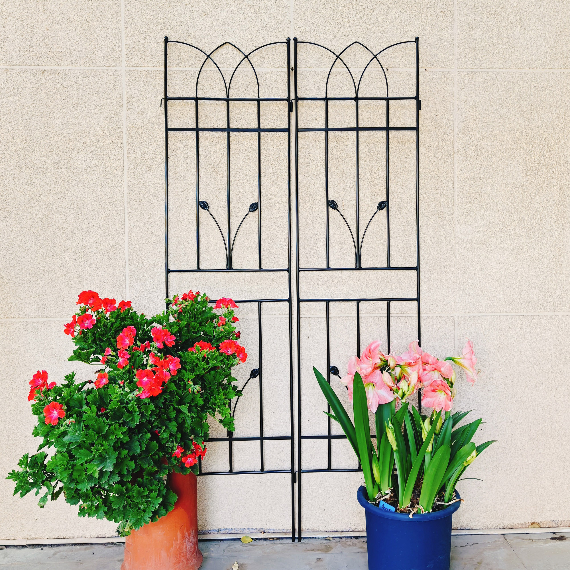 4 Pack Metal Garden Trellis 71  X 17.7  Rustproof Trellis For Climbing Plants Outdoor Flower Support Black