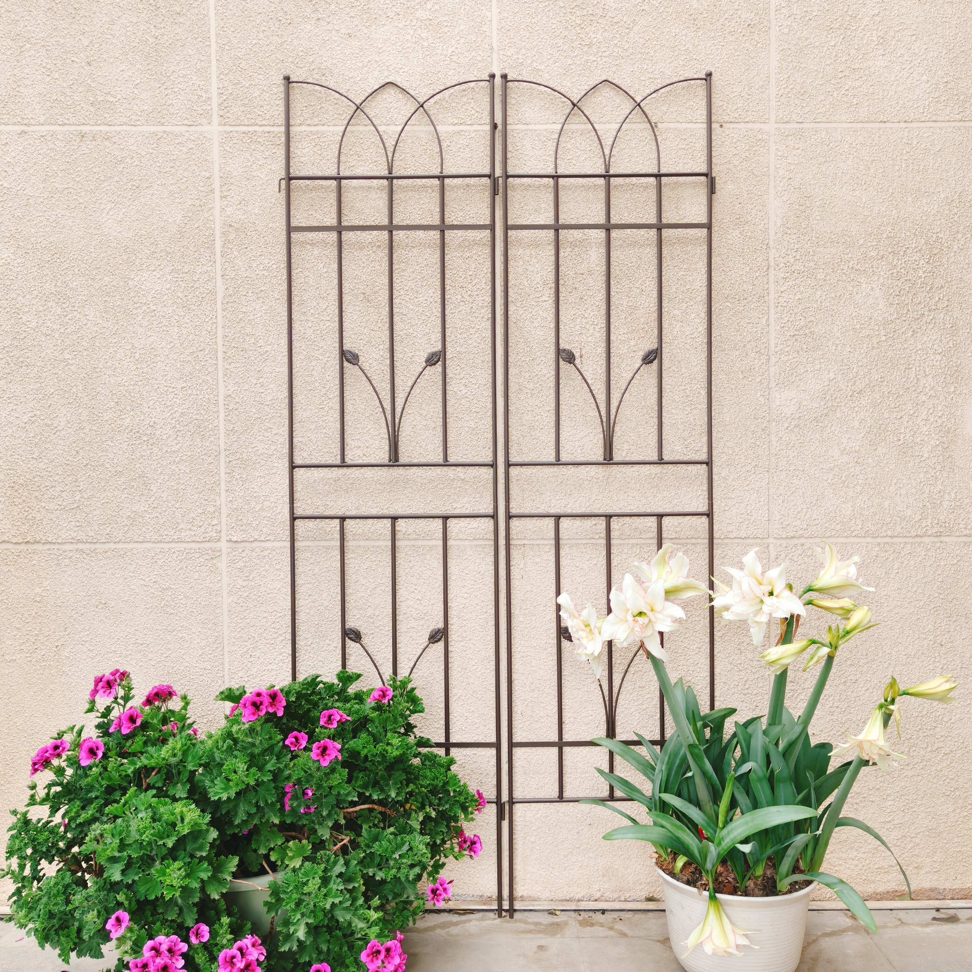 2 Pack Metal Garden Trellis 71  X 17.7  Rustproof Trellis For Climbing Plants Outdoor Flower Support Brown