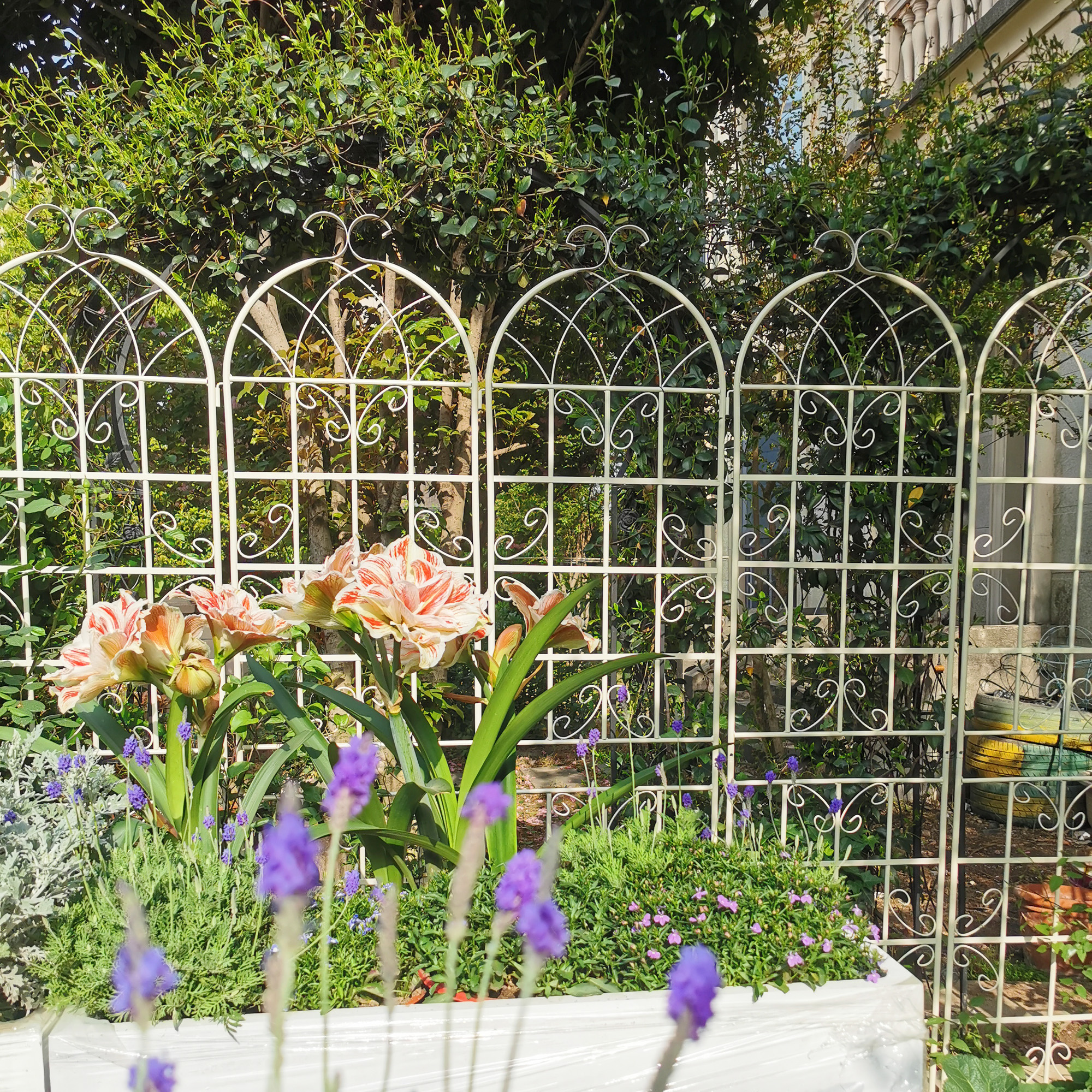 2 Pack Metal Garden Trellis 86.7  X 19.7  Rustproof Trellis For Climbing Plants Outdoor Flower Support Cream White