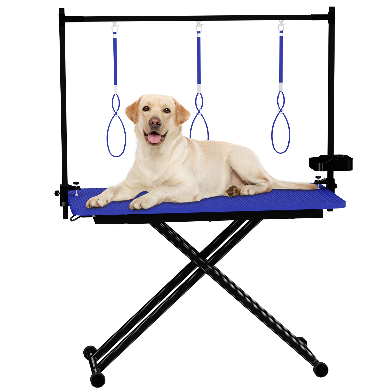 47 Blue Large Dog Grooming Table X-Lift Foldable Grooming Table For Dogs At Home Adjustable Height Arms Pet Station With Nooses, Tool Organizer - Image 1