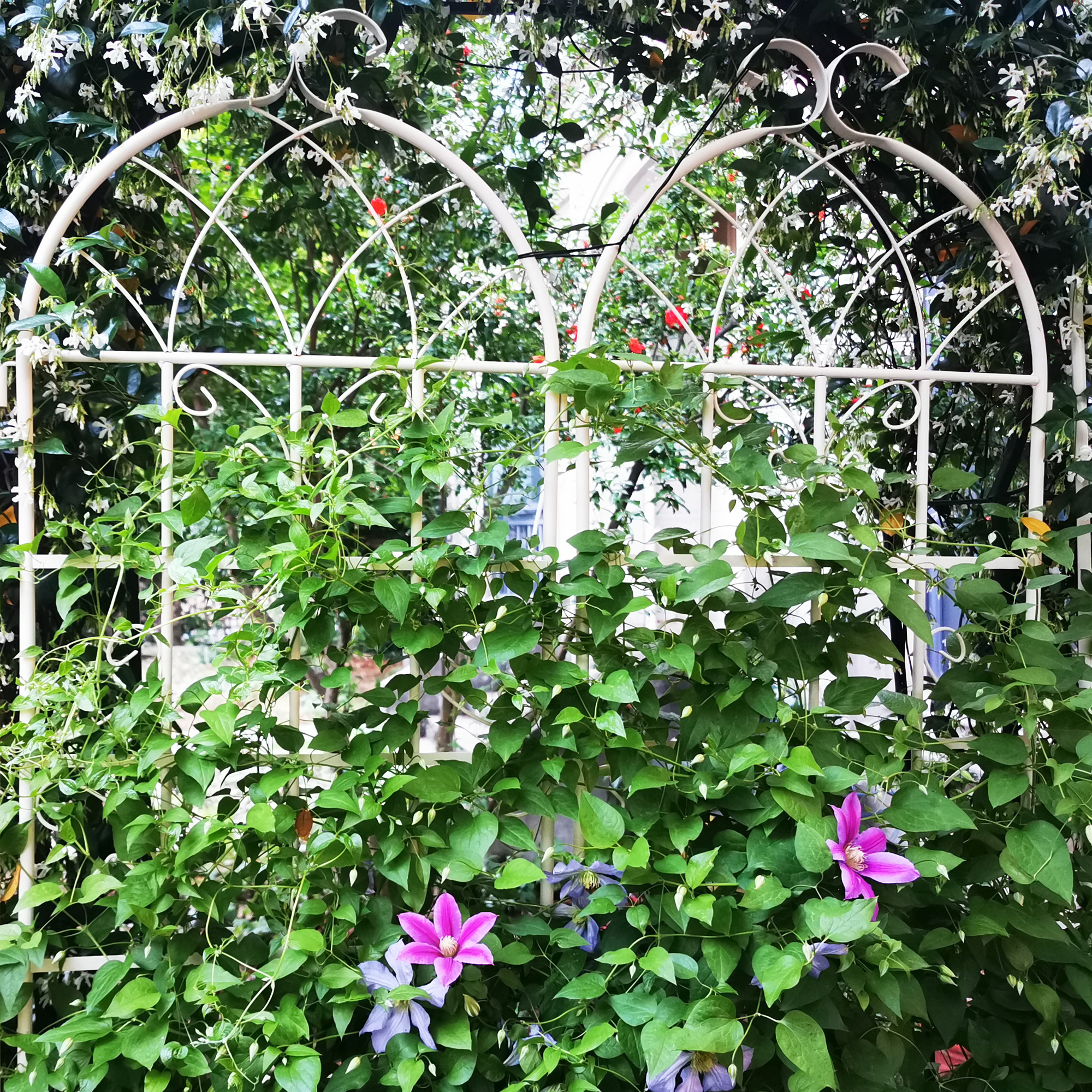 2 Pack Metal Garden Trellis 71 X 19.7 Rustproof Trellis For Climbing Plants Outdoor Flower Support Cream White