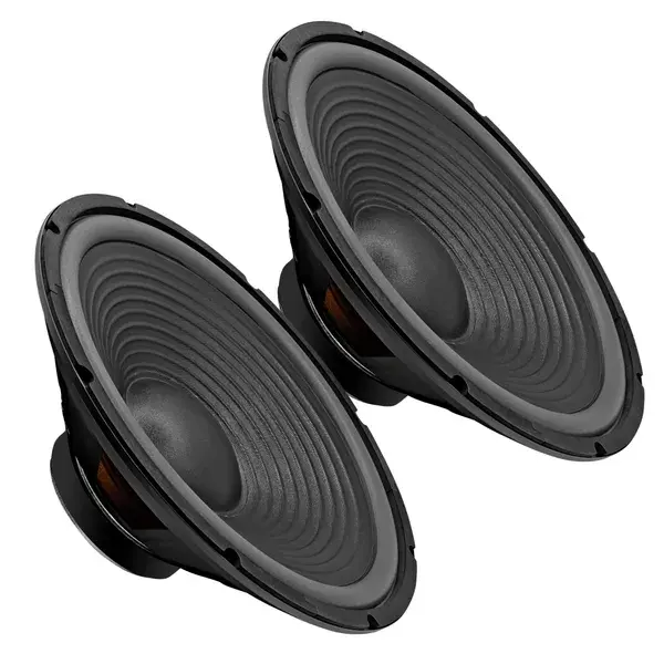 5 Core 15 Inch Subwoofer 450 Watt