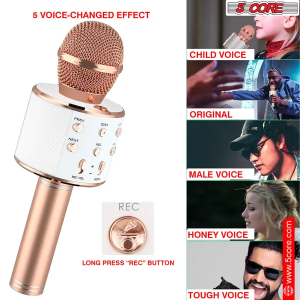 5 Core Microphone Wireless Karaoke Mic With Speaker 3 In 1 Portable Bluetooth Microfono Inalambrico