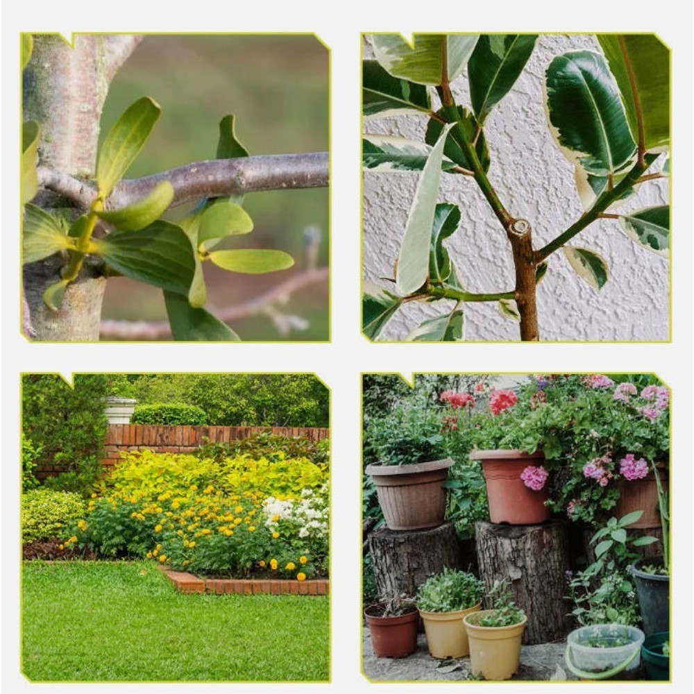 Support Pan European：Battery-Powered Hedge Trimmer 30mm Garden Shear Tree Shear Shrub Shears - 1 Battery Charger