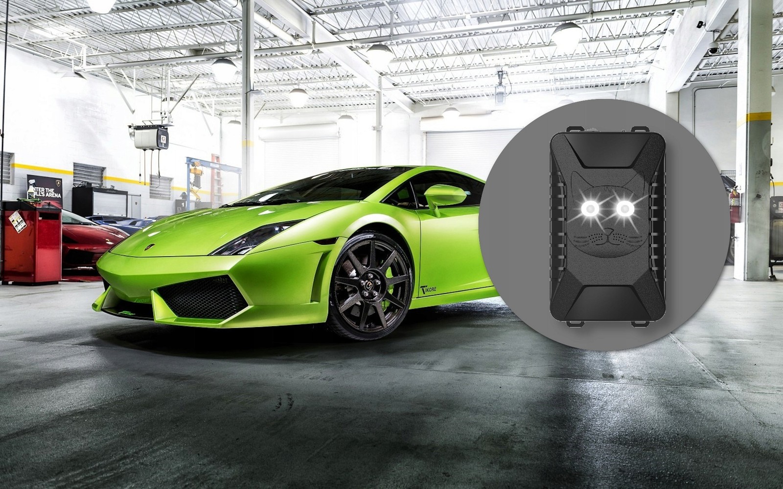 Support Pan European：Ultrasonic Mole Repellent Mole Deterrent Mole Mole Protection Repeller House Car Automotive