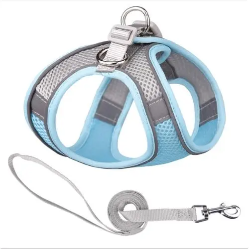 Pet traction rope-S-mixed color-breathable mesh