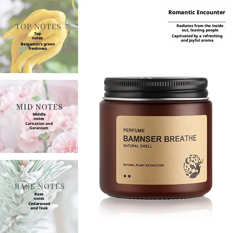 Odor removal solid balm-romantic encounter fragrance-brown-230g