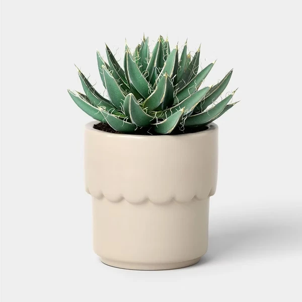 Ceramic Modern Outdoor Planter – Cream, 4"x3.875" For Plants & Succulents