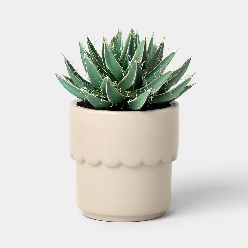 Ceramic Modern Outdoor Planter – Cream, 4"x3.875" For Plants & Succulents 6