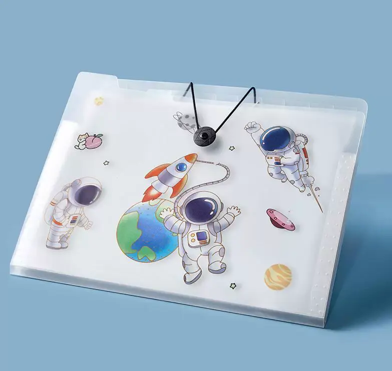 Organ bag, test paper bag-astronaut-12 squares