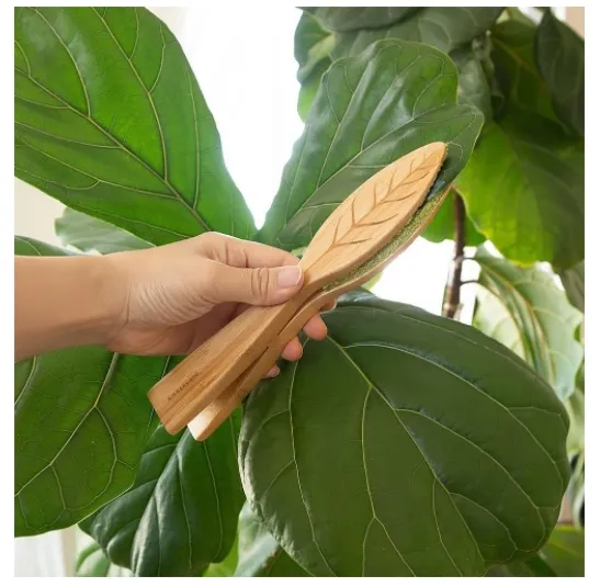 Leaf cleaning brush- -opp bag