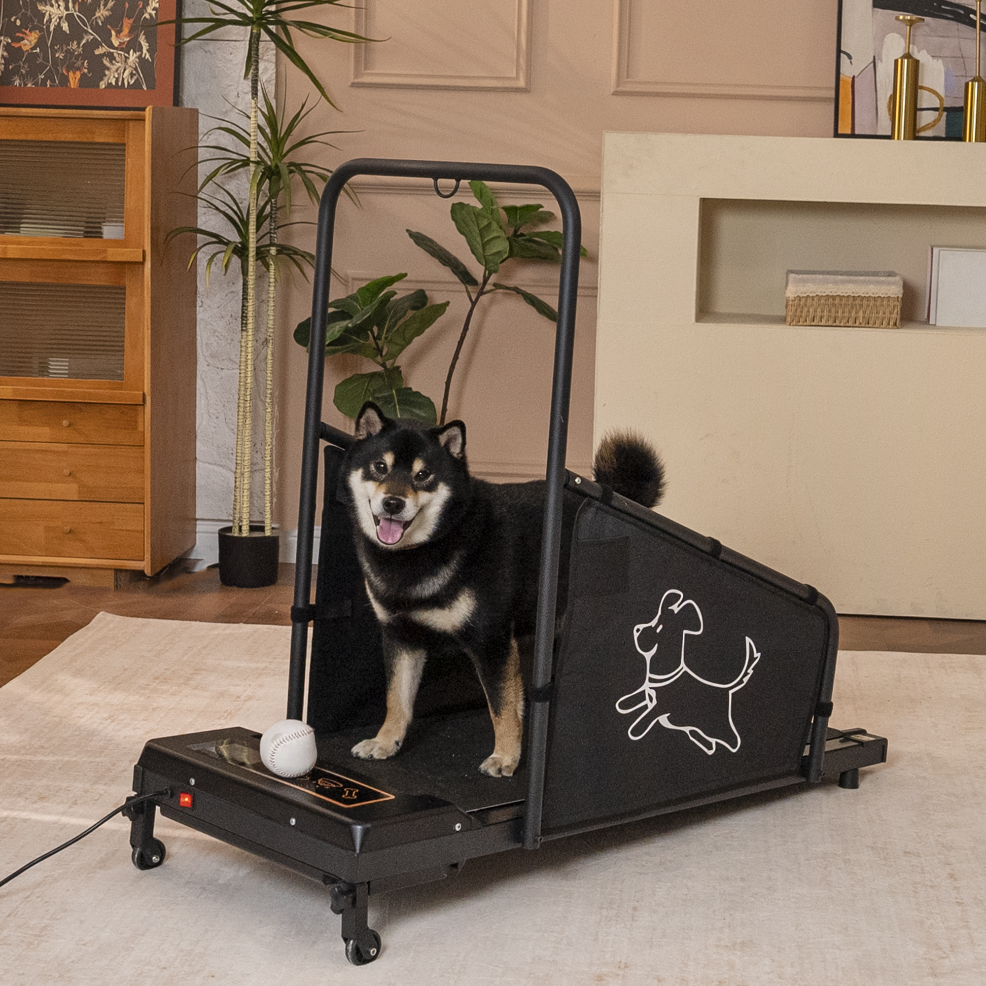 Dog Treadmill For Medium Dogs - Dog Pacer Treadmill For Healthy & Fit Pets - Dog Treadmill Run Walk