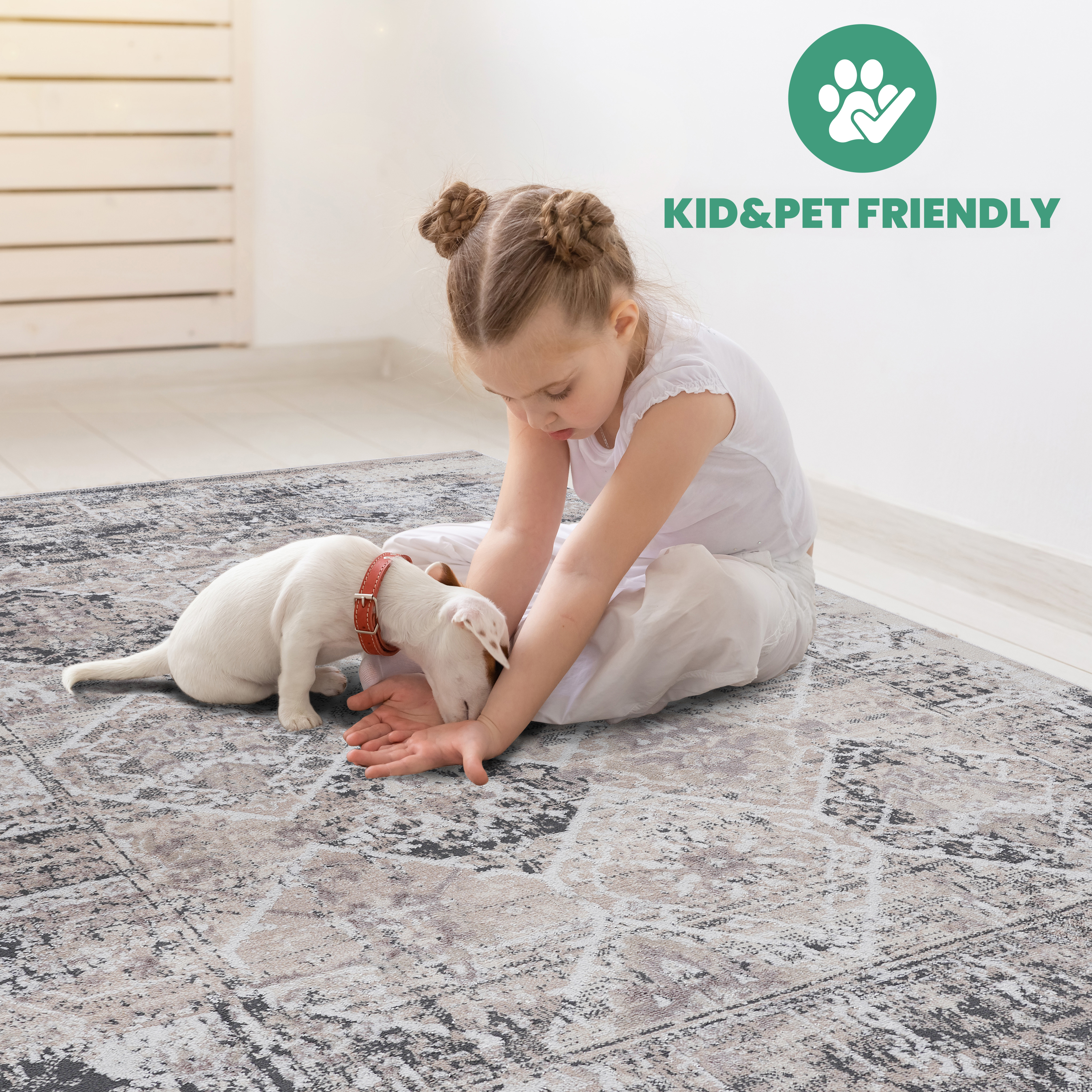 Traditional Cream And Anthracite Area Rug For Living Room_voghion.com