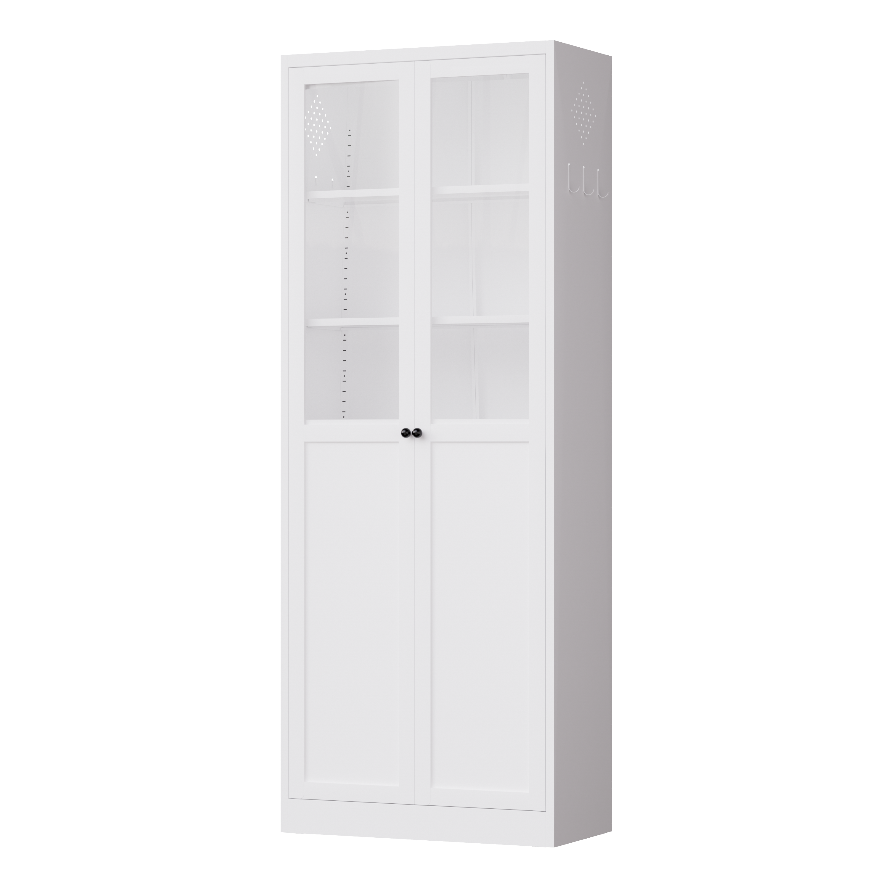 Metal Pantry Cabinet with Doors