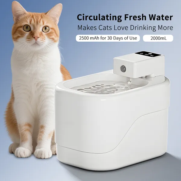 Small Sugar Pet Water Dispenser, Multi-layer Filtration To Maintain Water Quality, Large Capacity Water Storage, Beautiful And Practical For Home Placement