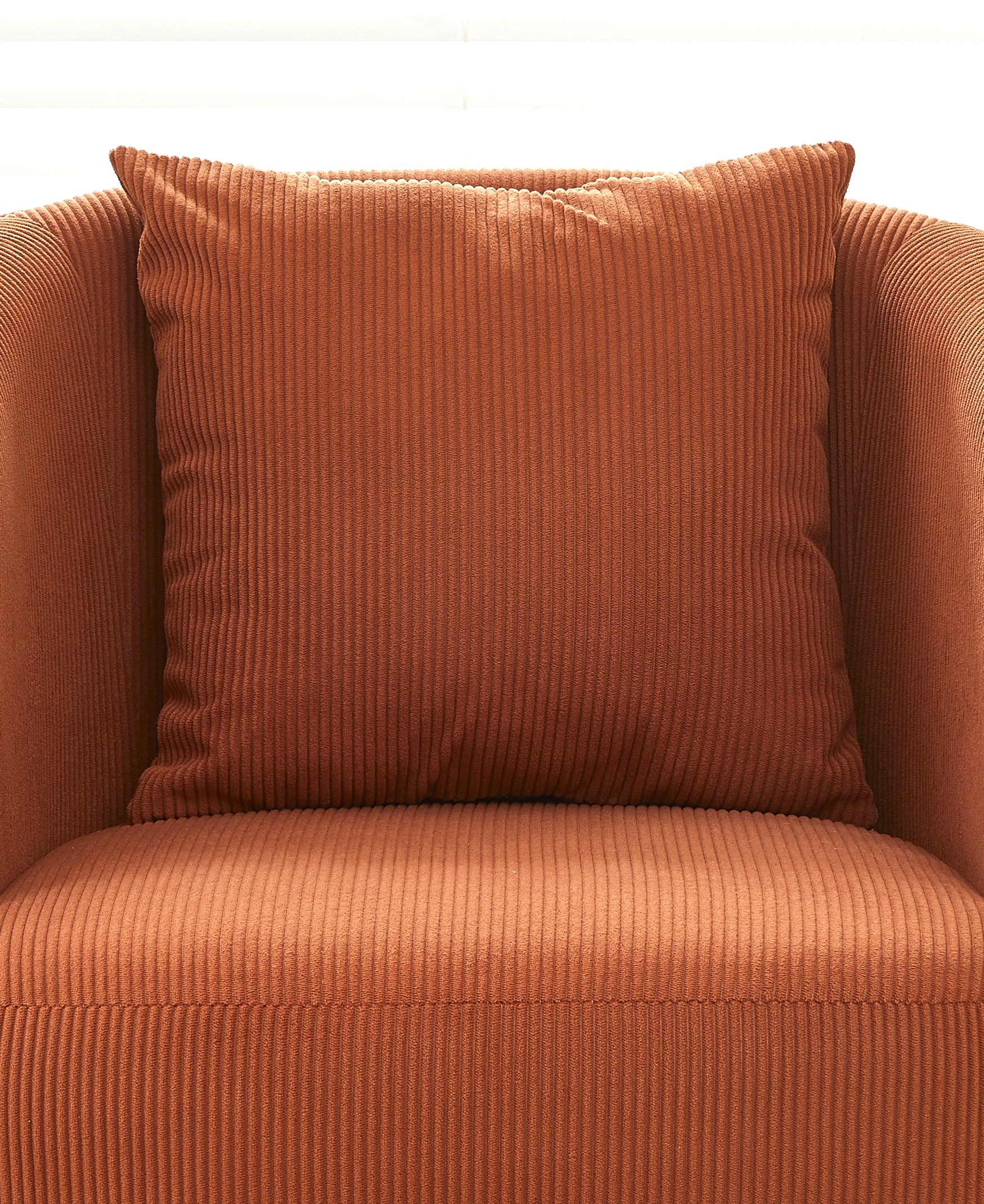 Velvet Accent Chair with Pillow, picture 4 of 4