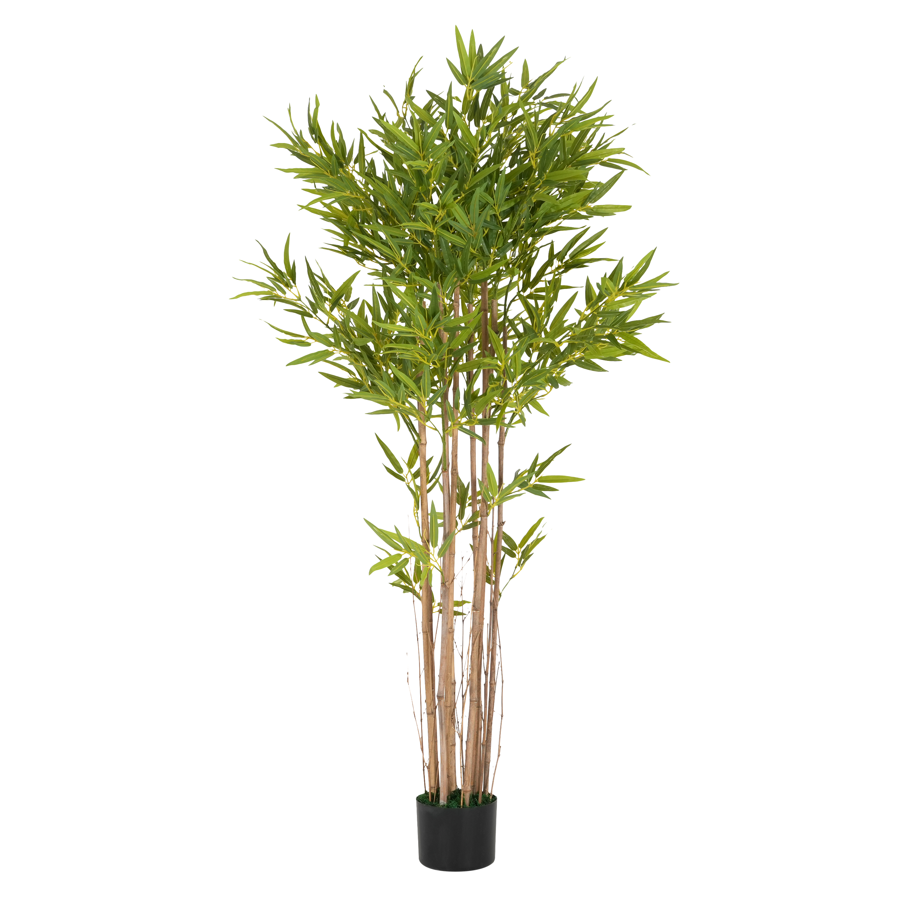 70 Artificial Bamboo With Black Plastic Pot view 3