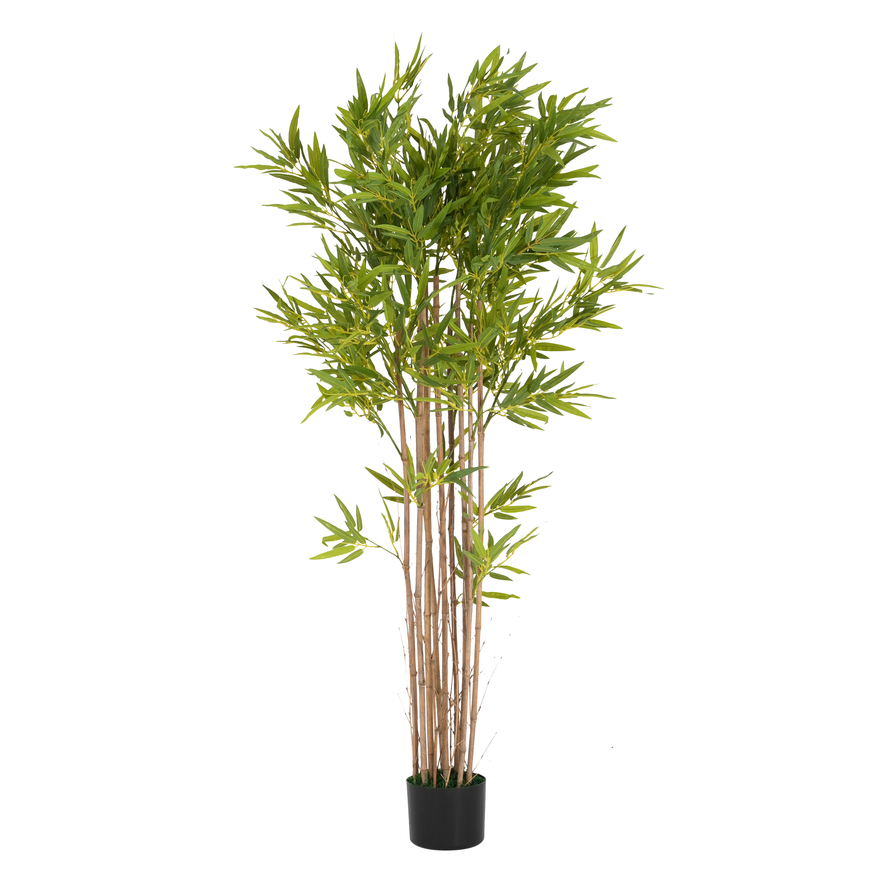 70 Artificial Bamboo With Black Plastic Pot view 5