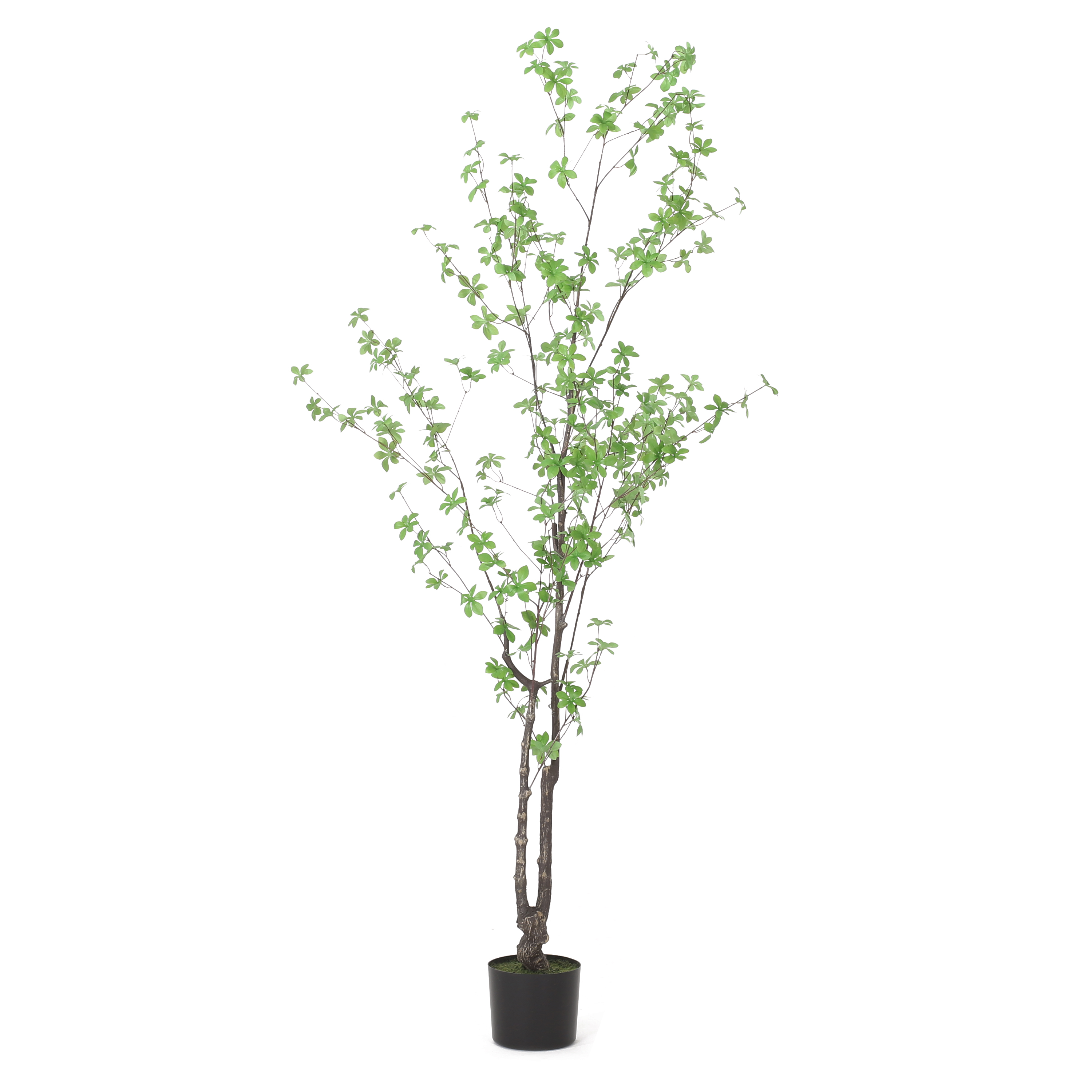 180CM ARTIFICIAL DISC LEAF TREE view 5