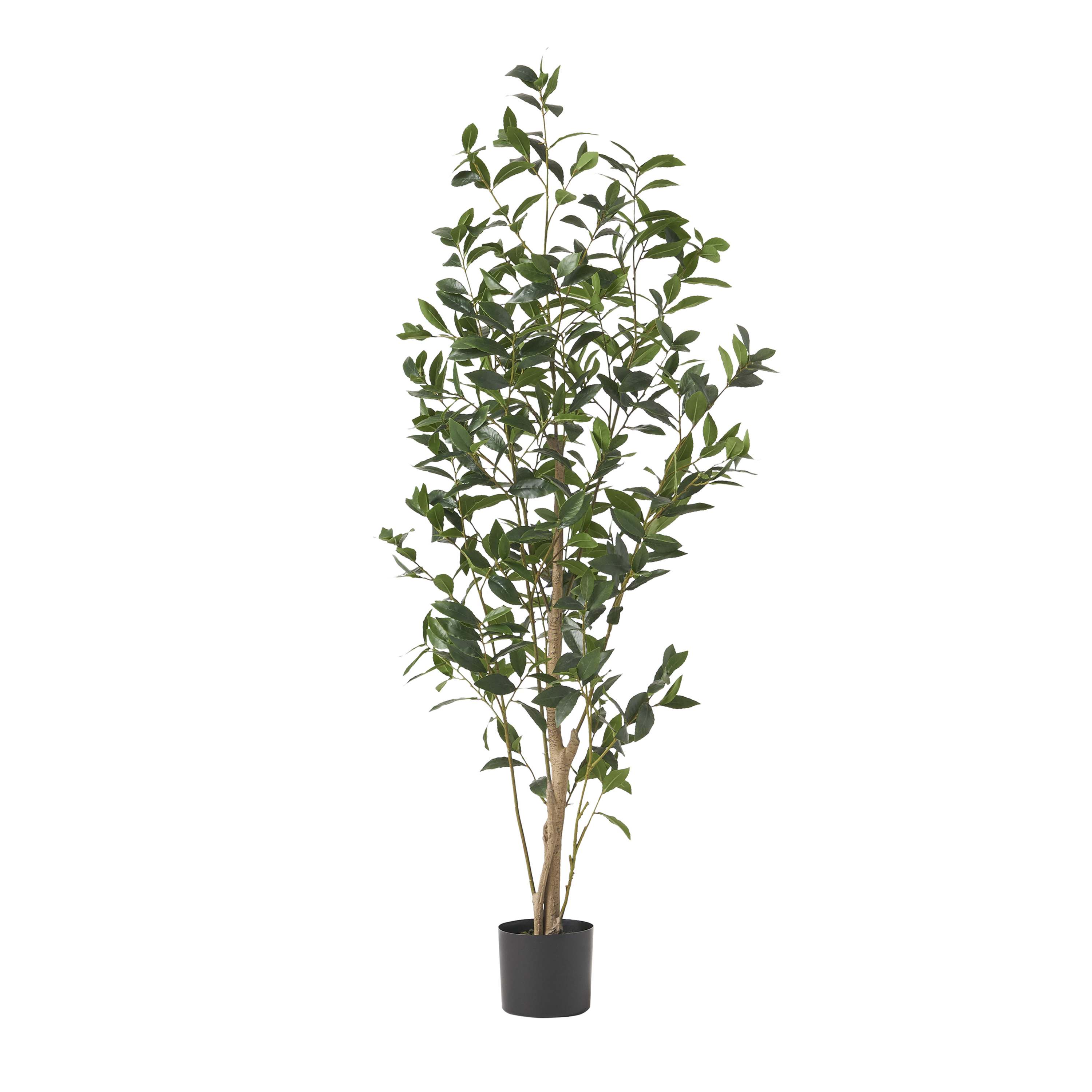 150CM ARTIFICIAL LAUREL TREE view 3