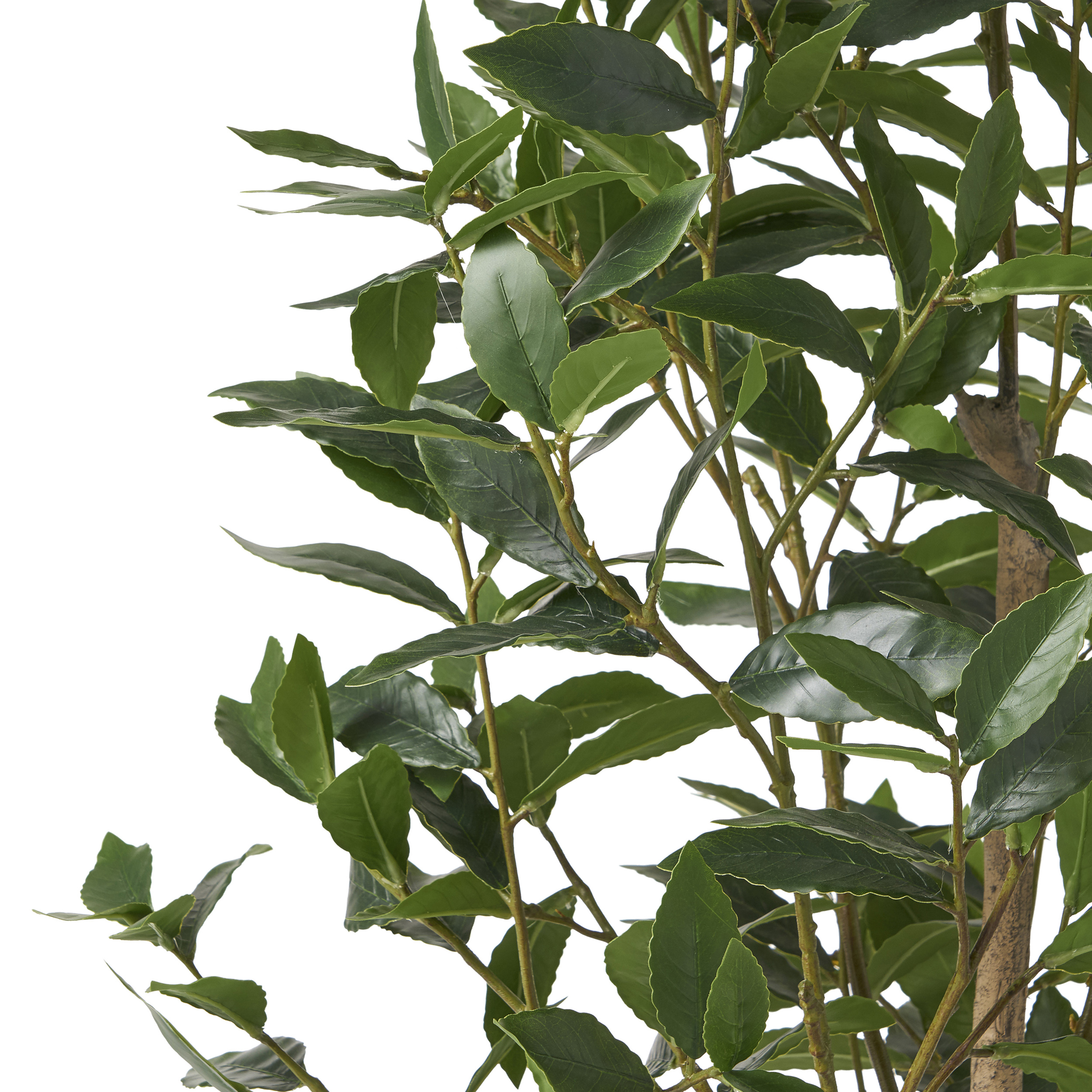 150CM ARTIFICIAL LAUREL TREE view 2