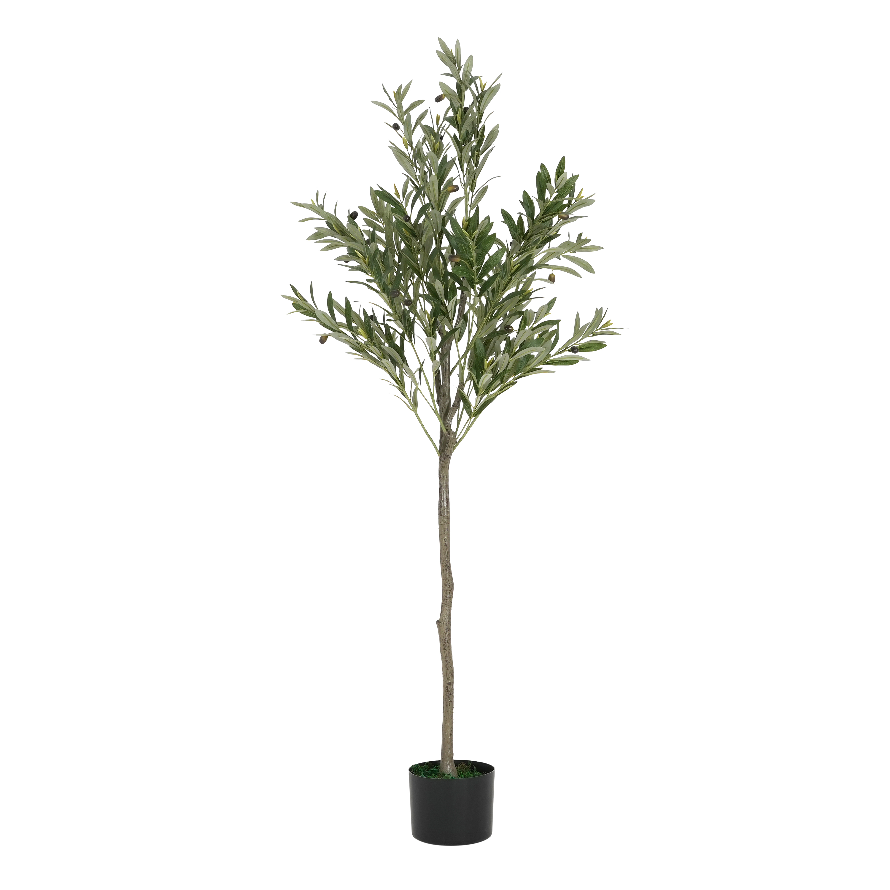 66 Artificial Olive Tree With Black Plastic Pot view 5