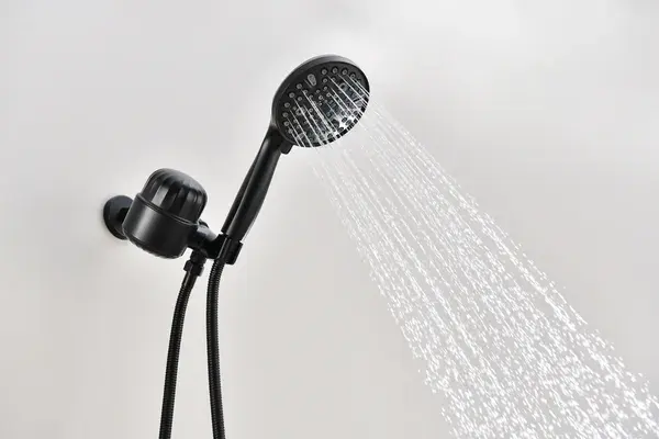 2.0 GPM Handheld Shower Head