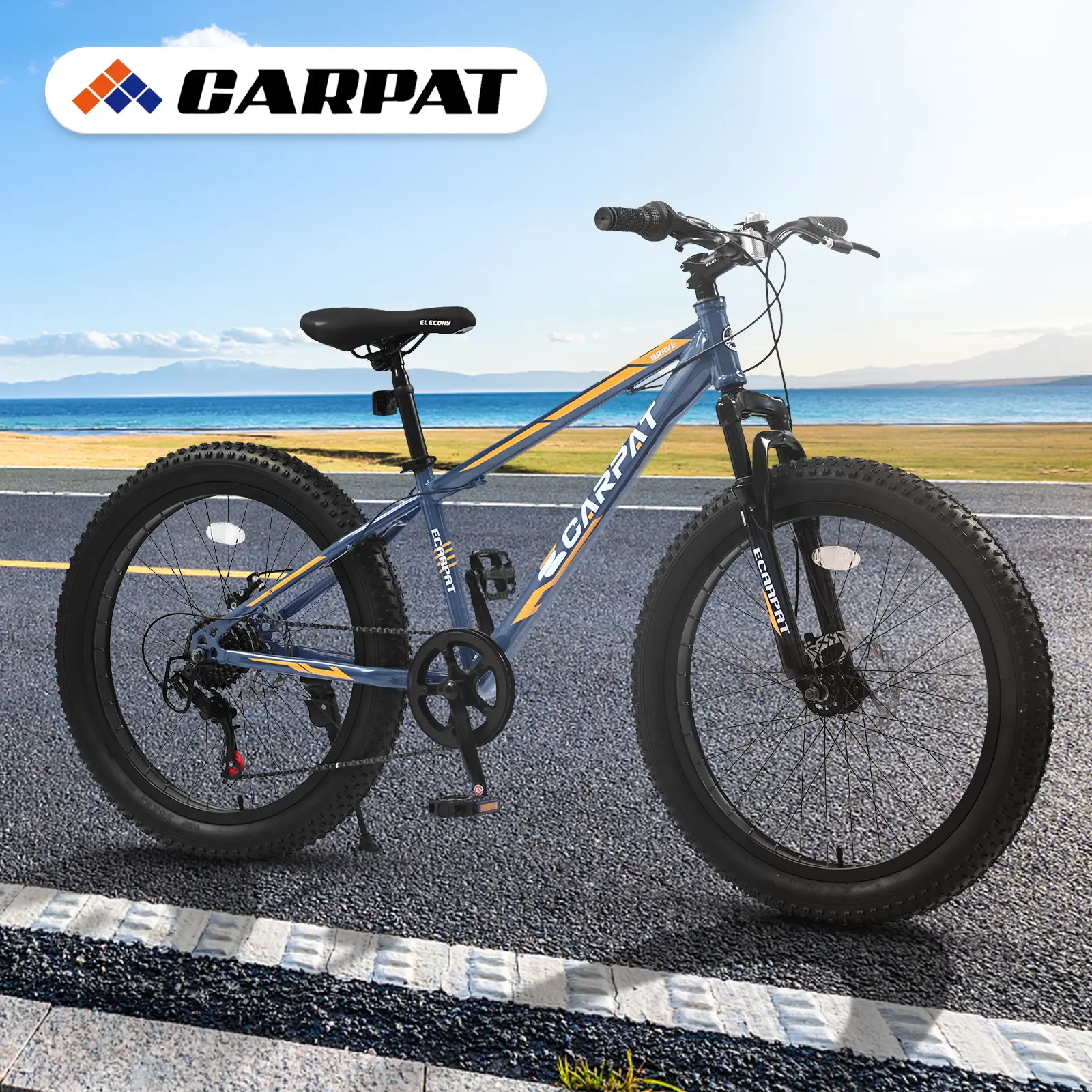 S24109 Elecony 24 Inch Fat Tire Bike Youth Full Shimano 7 Speeds Mountain Bike, Dual Disc Brake, High-Carbon Steel Frame, Front Suspension, Mountain Trail Bike,