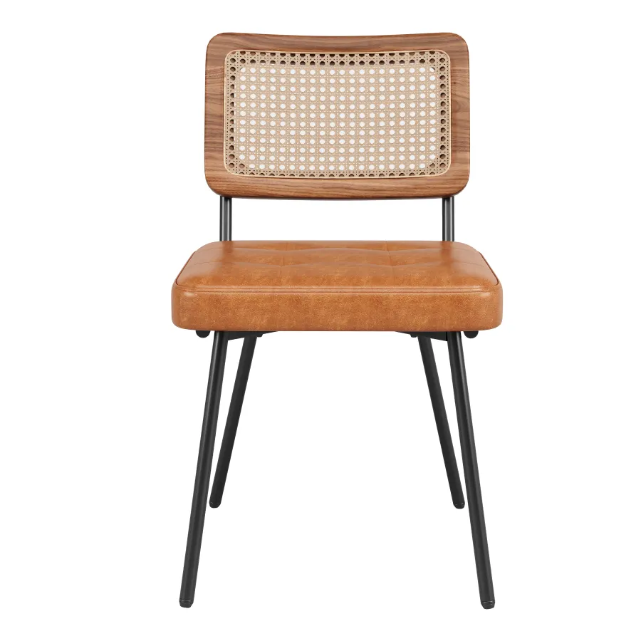 Faux Leather Dining Chair 2pcs Rattan Lounge Chair Vanity Chair Ergono