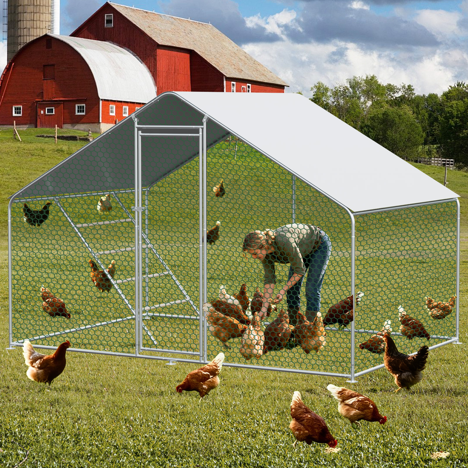 Enceinte en plein air Poulet Coop 3x2x2m avec cadenas de sécurité et étanche