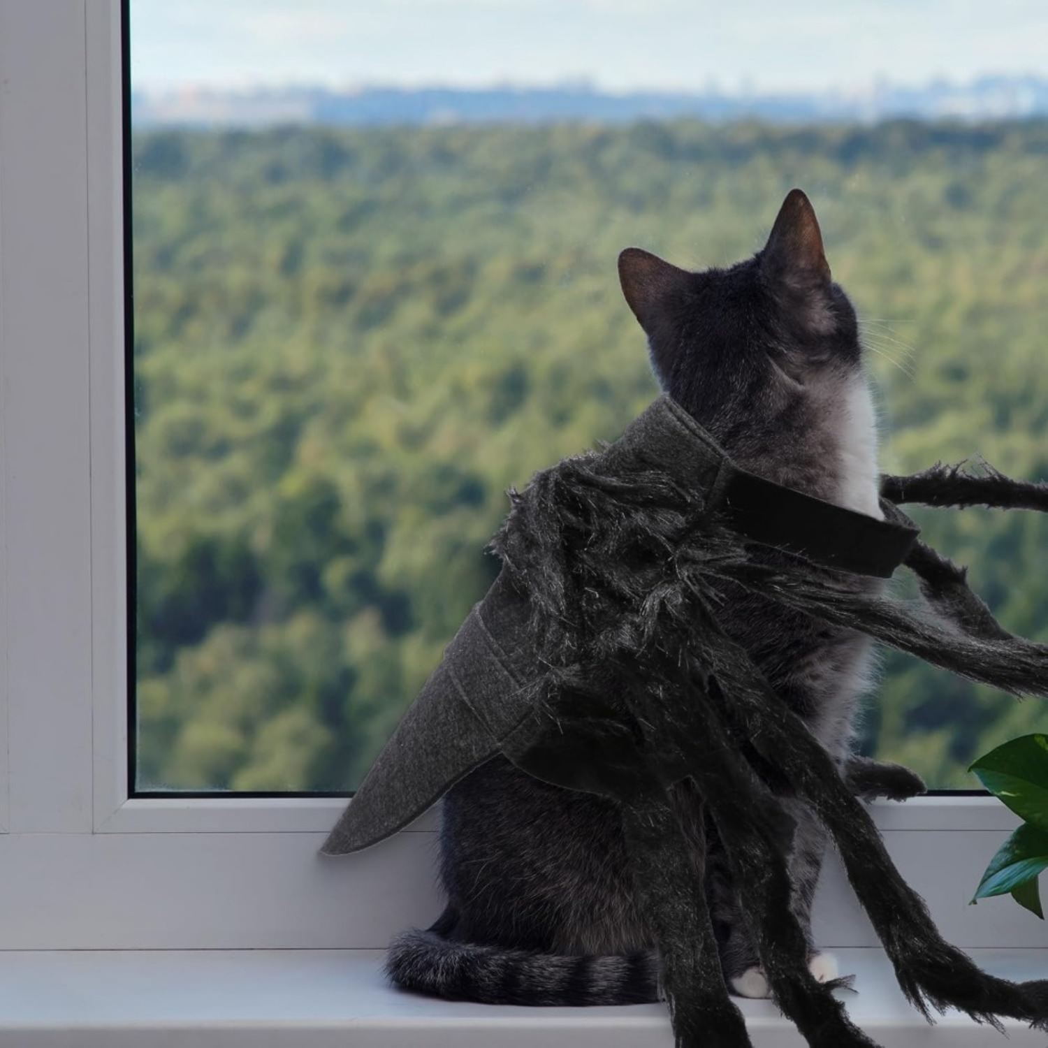 Spider Costume for Dogs