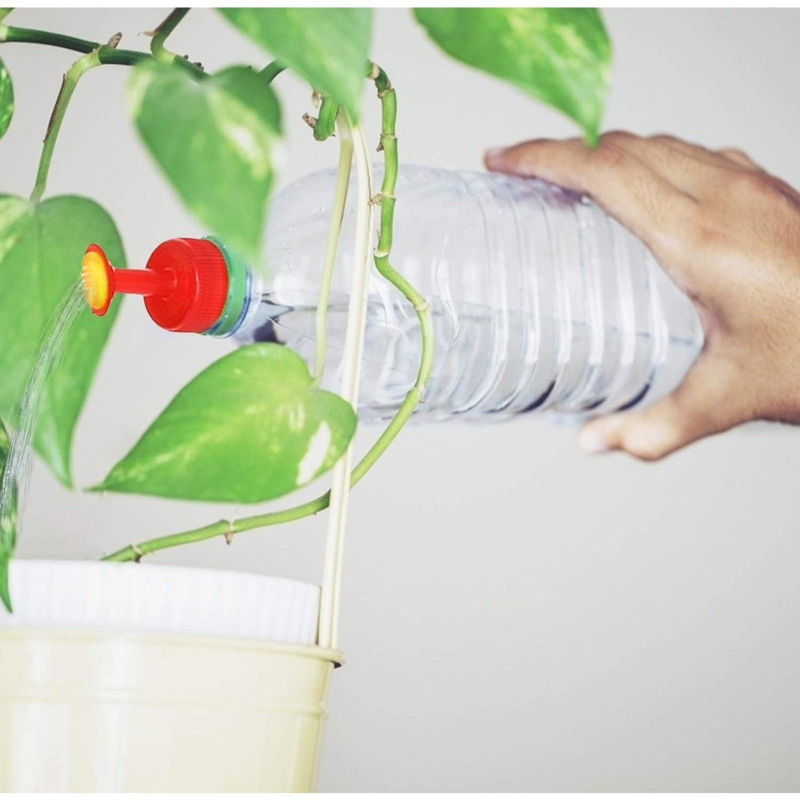 Bottle Watering Nozzle Set, 6-piece Watering Can Attachment For Bottles For Even Watering, Practical Gardening Tool For Houseplants & Balcony Flowers — foto 4