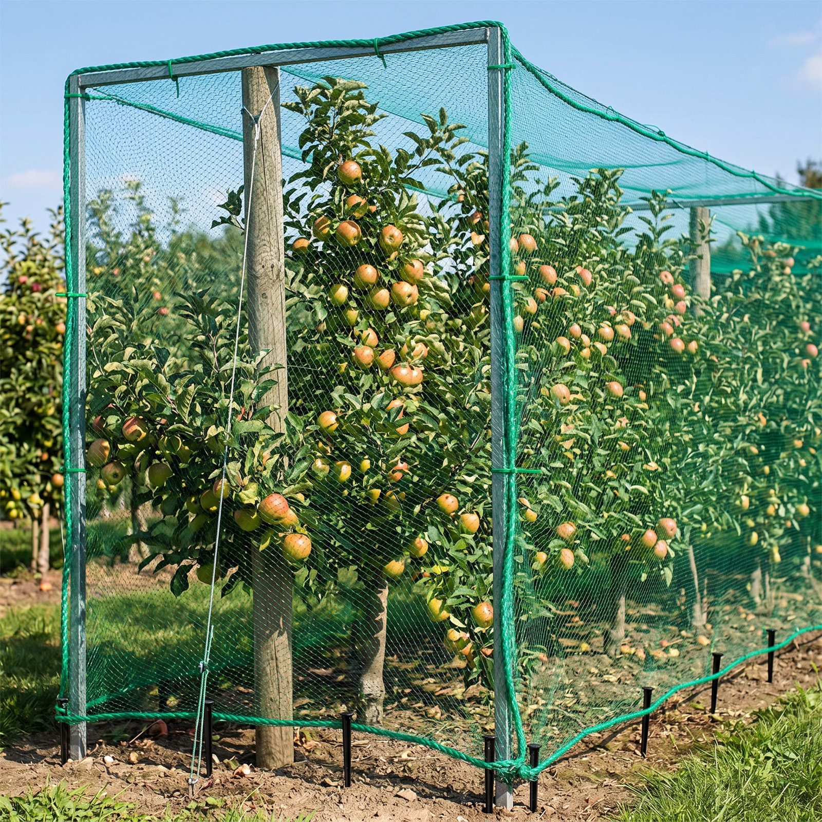 Fruit Tree Protective Netting With Stakes And Fastening Straps To Protect Your Harvest
