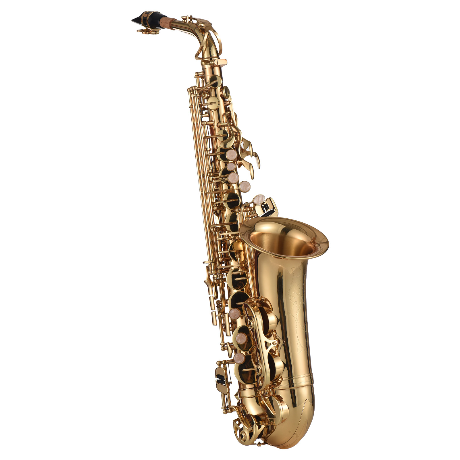 Eb Alto Saxophone Brass Lacquered Gold E Flat Sax 875 Key Type Woodwind Instrument With Cleaning Brush Cloth Gloves Strap Padded Case 4