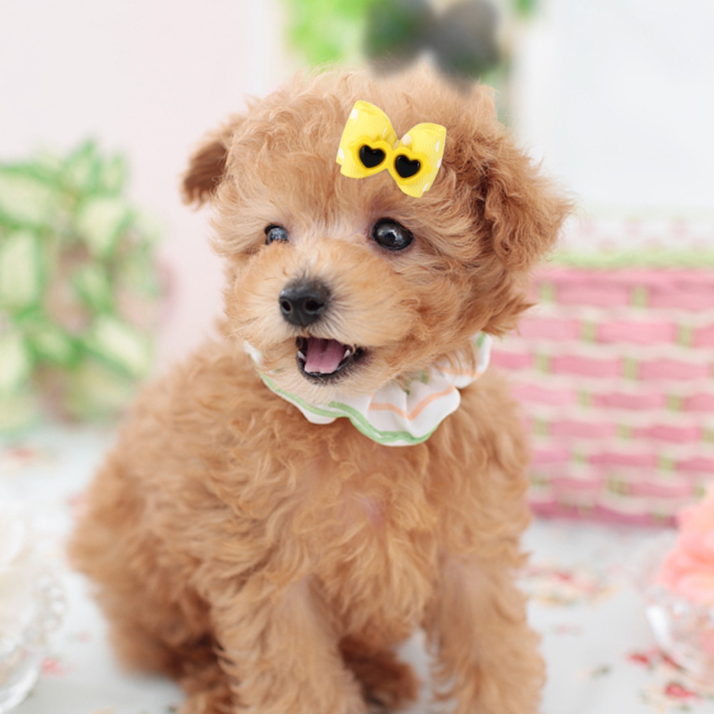 25Pcs Pet Multicolor Hair Bowknot Bows Grooming Accessories For Cat Medium Small Dog thumbnail 3